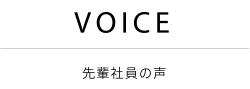VOICE
